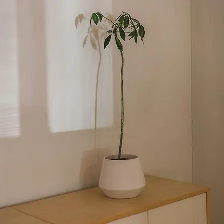 Parkview I Appartement *