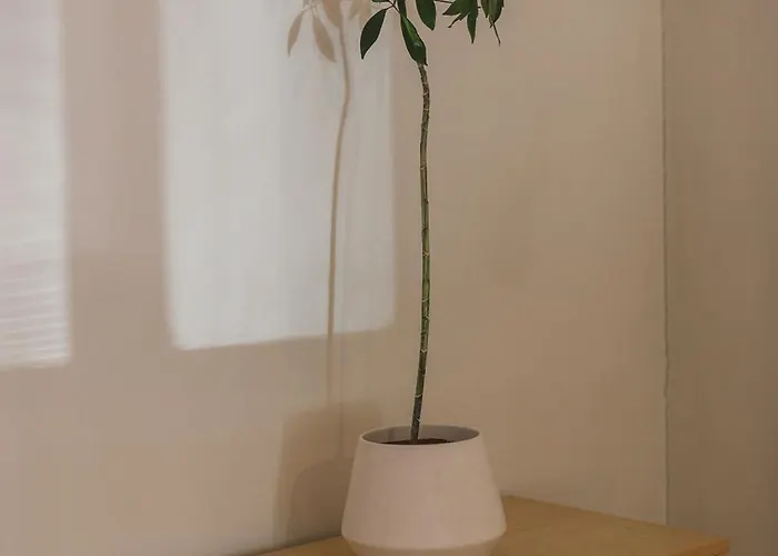 Parkview I Dzīvoklis *